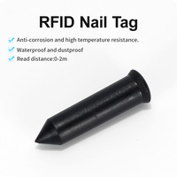 UHF RFID Nail Tag