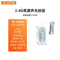FK-24T06